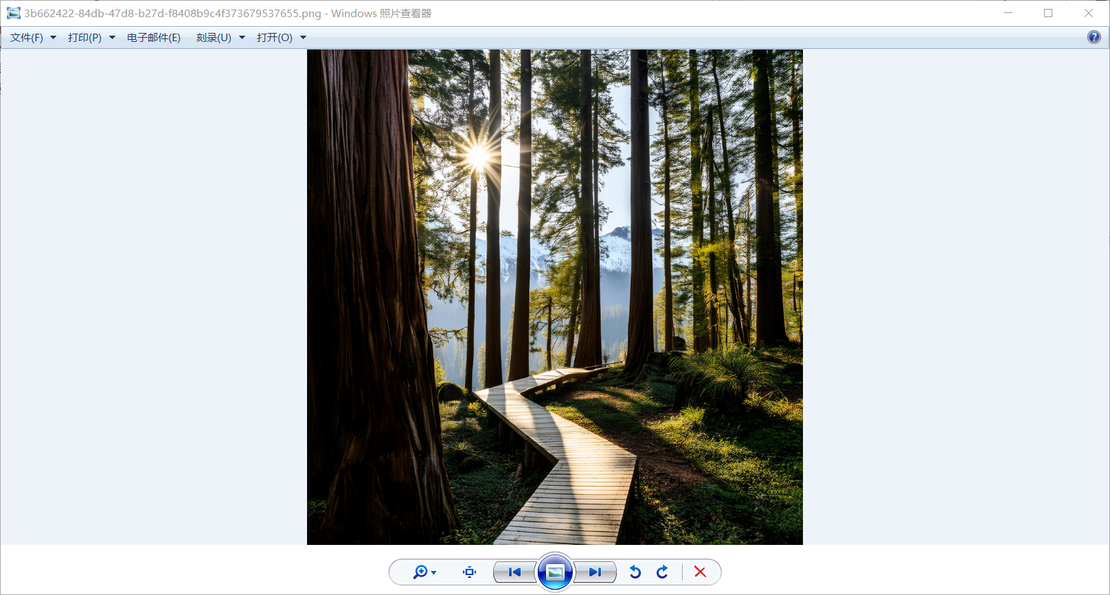 image-20250731182343441