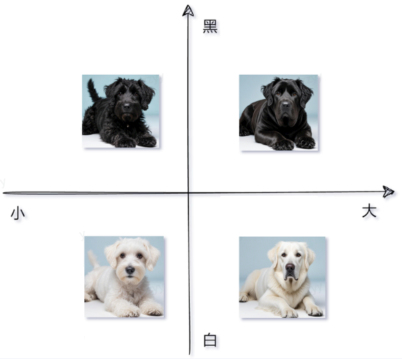 image-20250805164032114