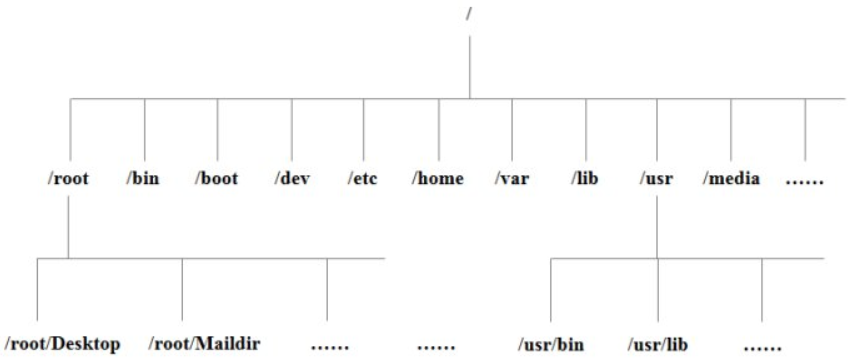 image-20221231145811937