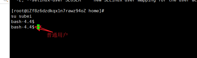image-20230104180726523