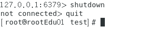image-20250413150853690