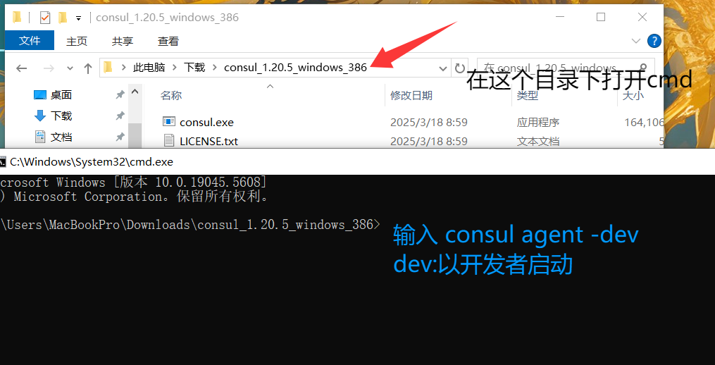image-20250319180847470
