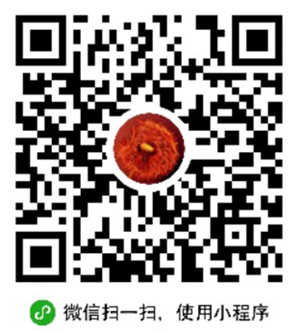 image-20230301223952401