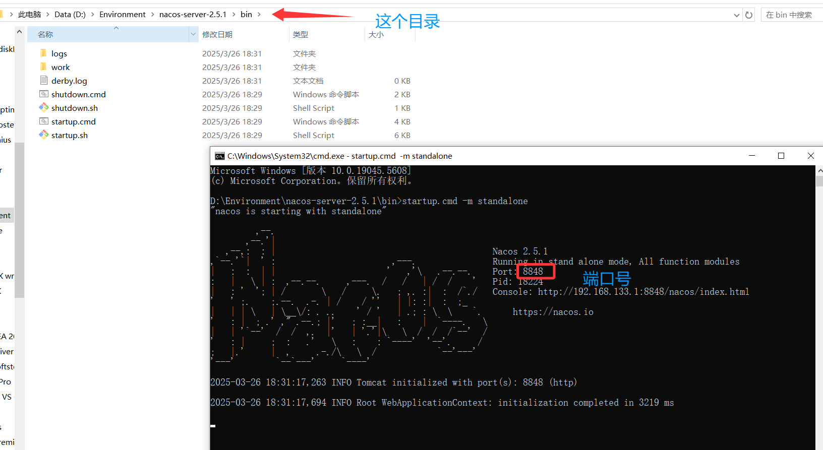 image-20250326183208176