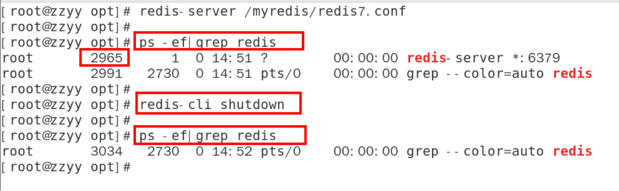 image-20250406145603470