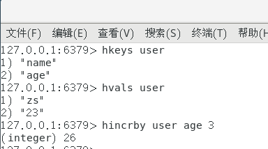 image-20250406175903212