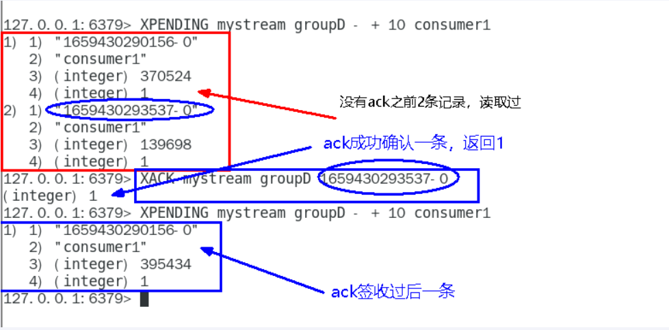 image-20250411220813033