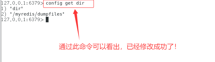 image-20250412143204897