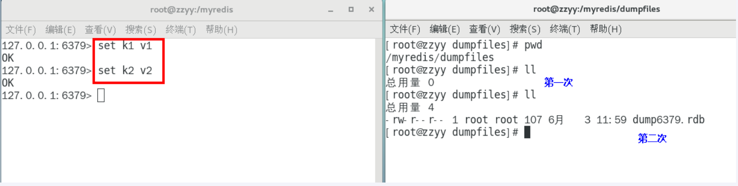 image-20250412143957147