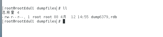 image-20250412145620989