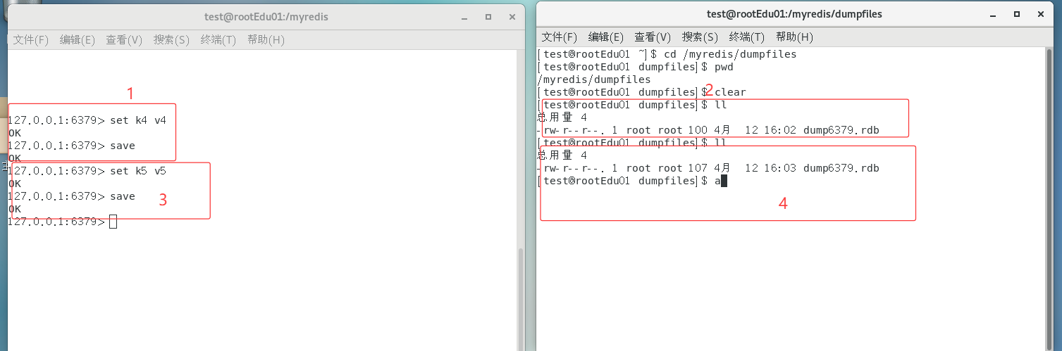 image-20250412160456020
