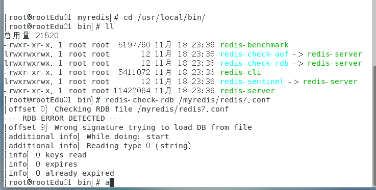 image-20250412164706643