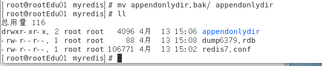 image-20250413151219297