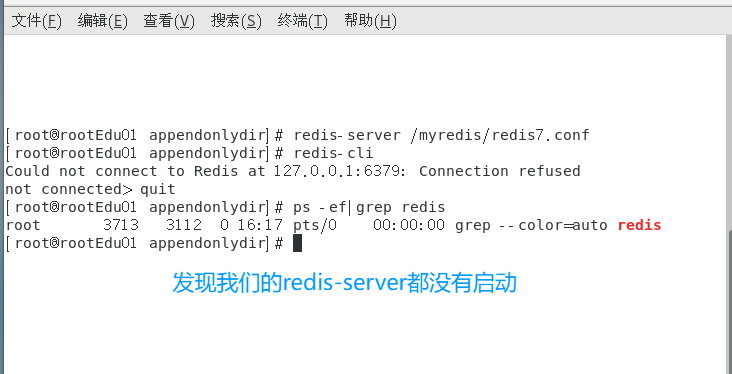 image-20250413161744835