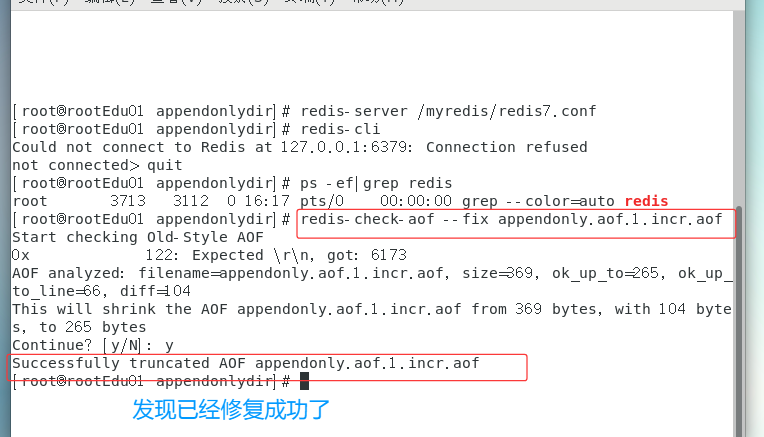 image-20250413161939967