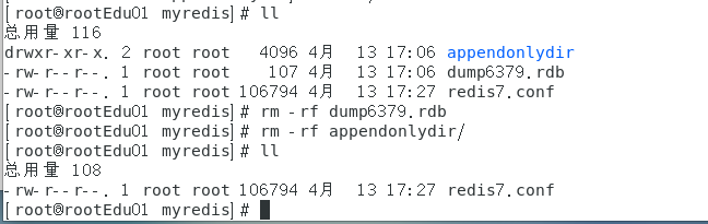 image-20250413172848044