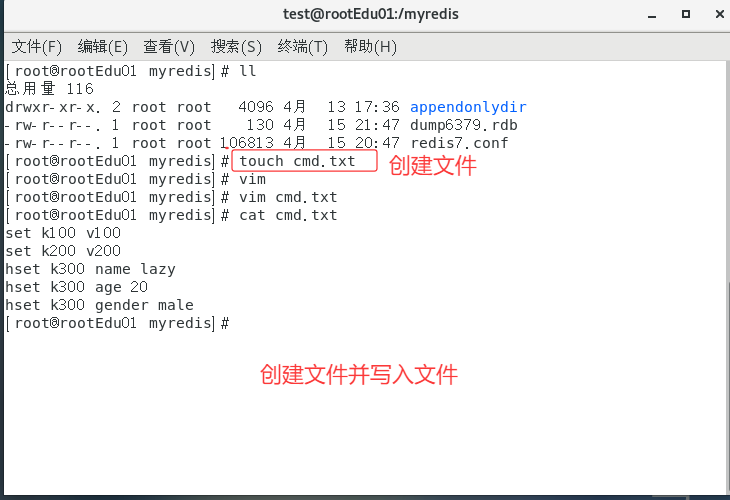 image-20250415220303463
