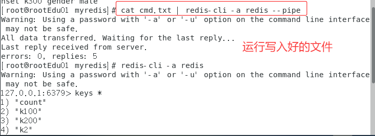 image-20250415220543199