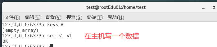 image-20250418224349195