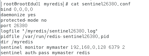 image-20250419151552672