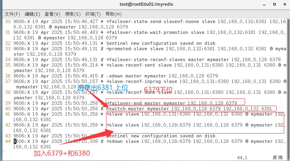 image-20250419155854459