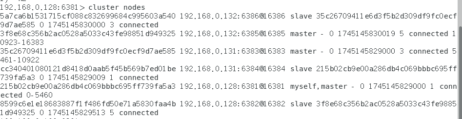 image-20250420184408490