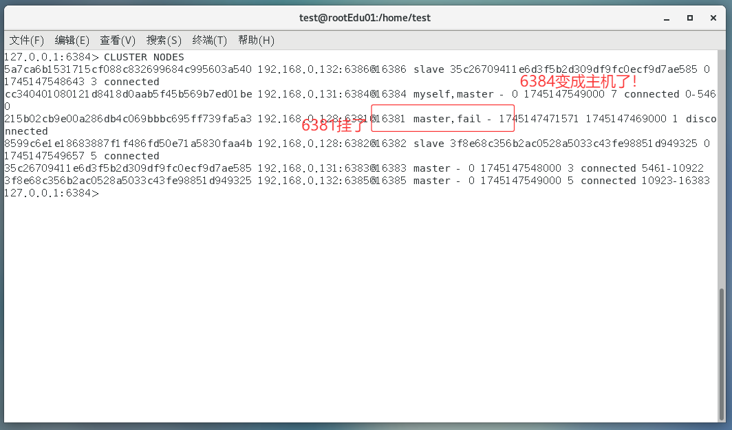 image-20250420191315525