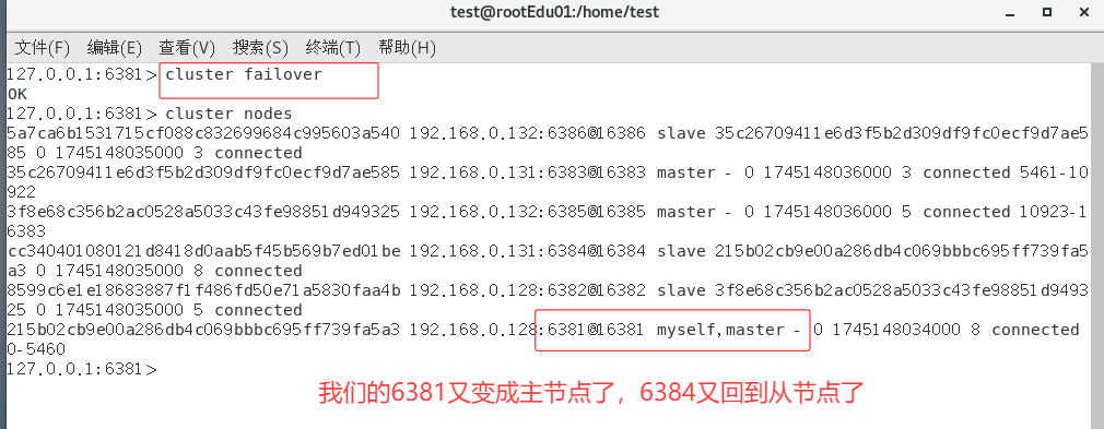 image-20250420192123271