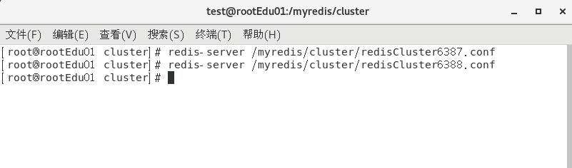 image-20250420193737073