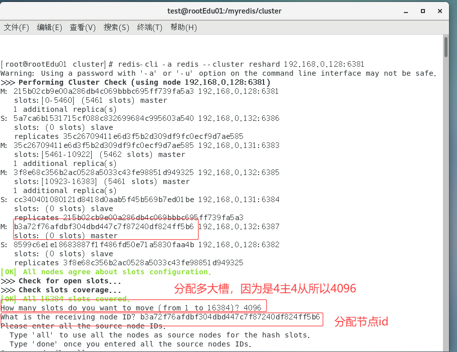 image-20250420195602536