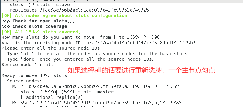 image-20250420195655887