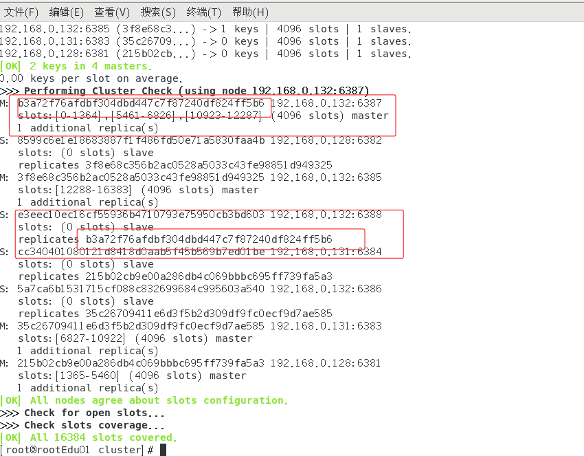 image-20250420200446706