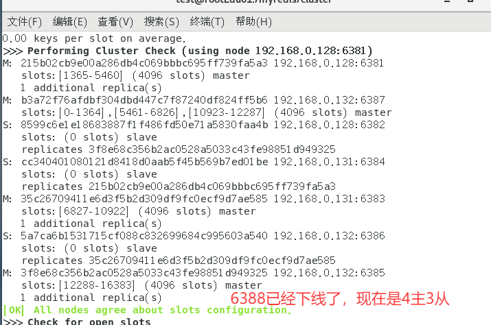 image-20250421191556431