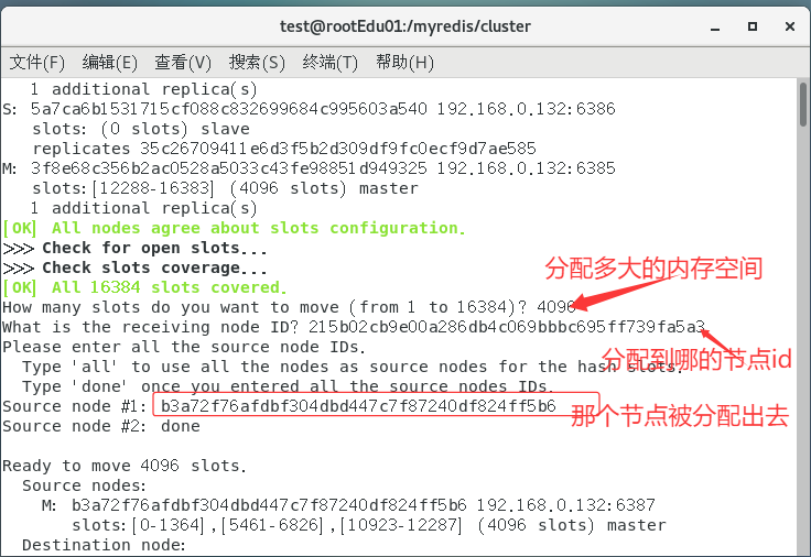 image-20250421192052683