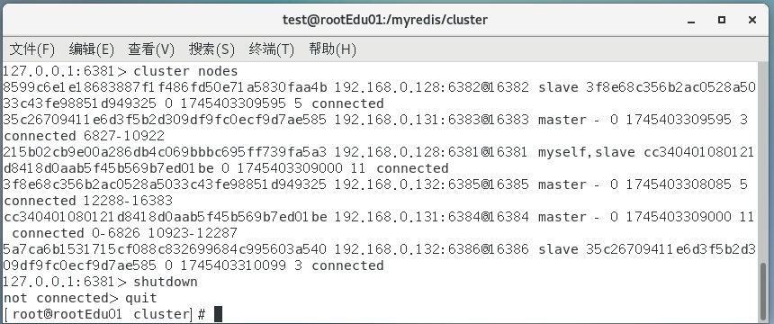 image-20250423182130443