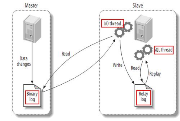 image-20250629165208291