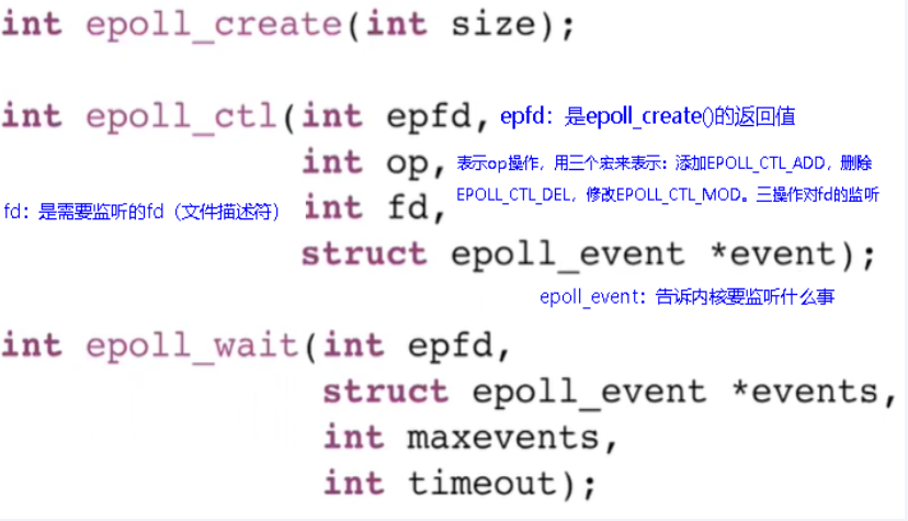 image-20250723190615538