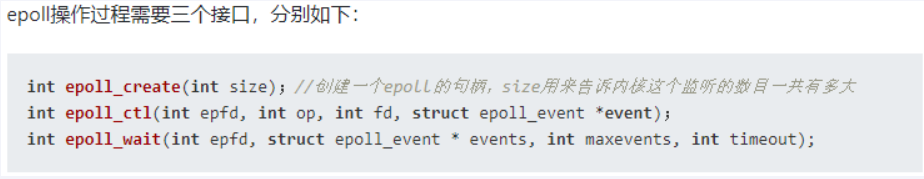 image-20250723190631959